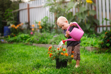 Montessori watering flowers activity for care of the environment