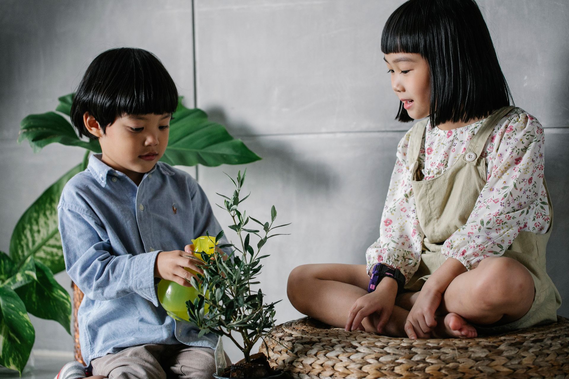 Children learning together while caring for a plant