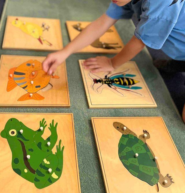 Montessori zoology puzzles for animal classification